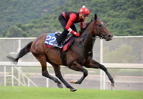 south africa racing gallops.
